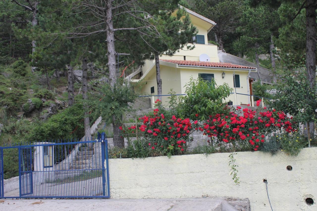 Appartement Eagle's Nest *